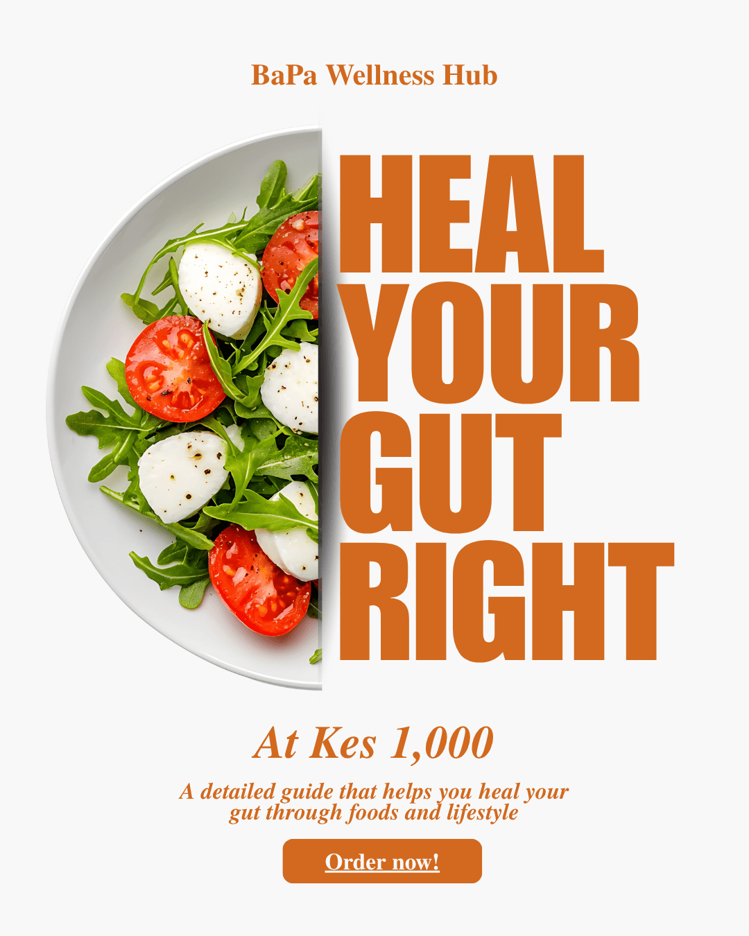 Gut Healing Guide and Meal Plan - 1