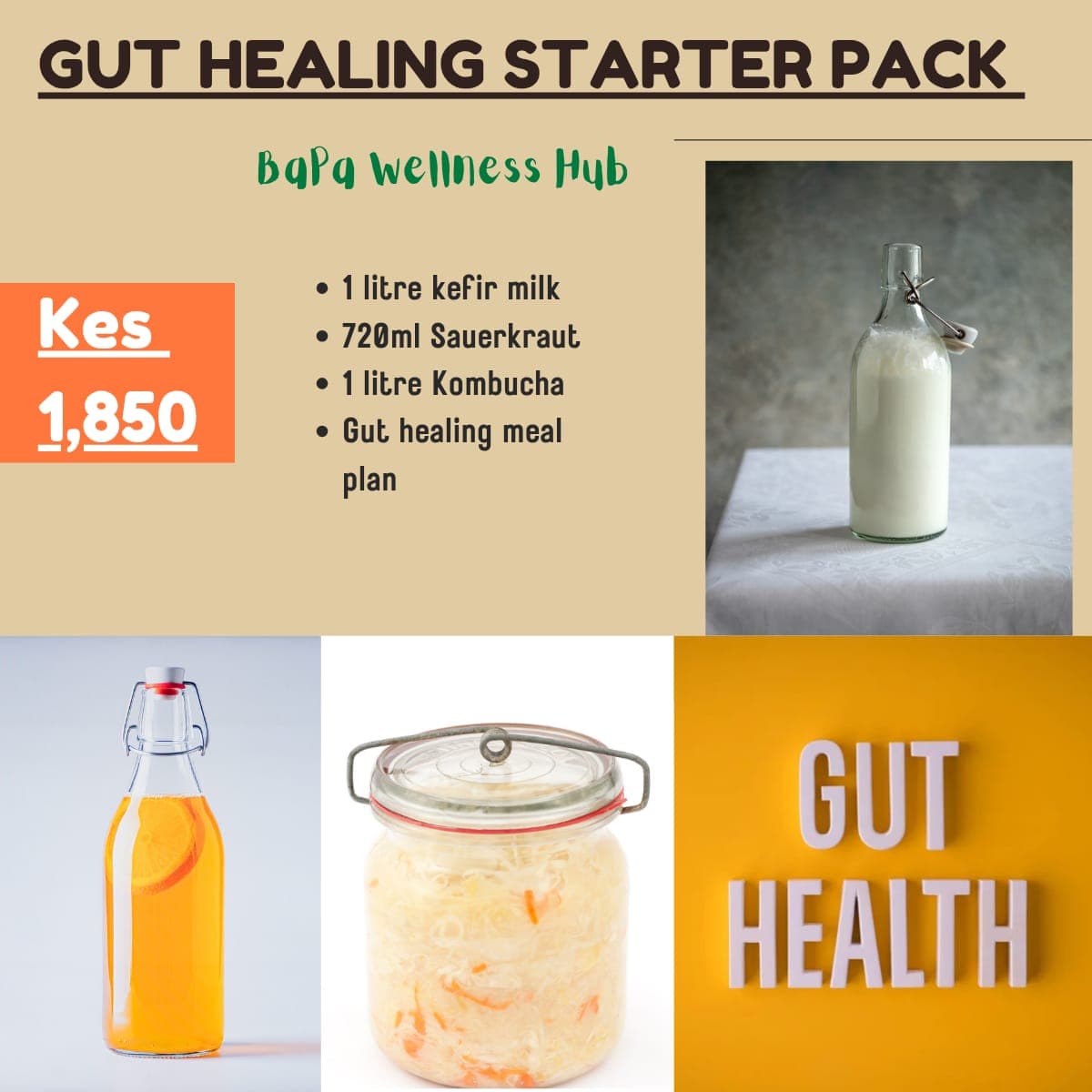 Gut healing starter Pack