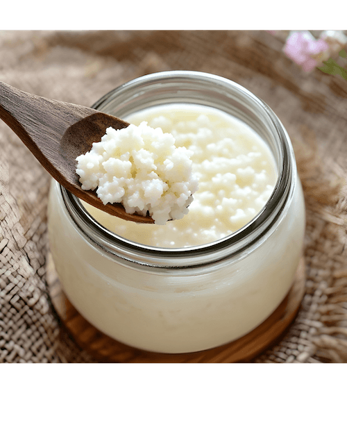 Kefir Grains - 1
