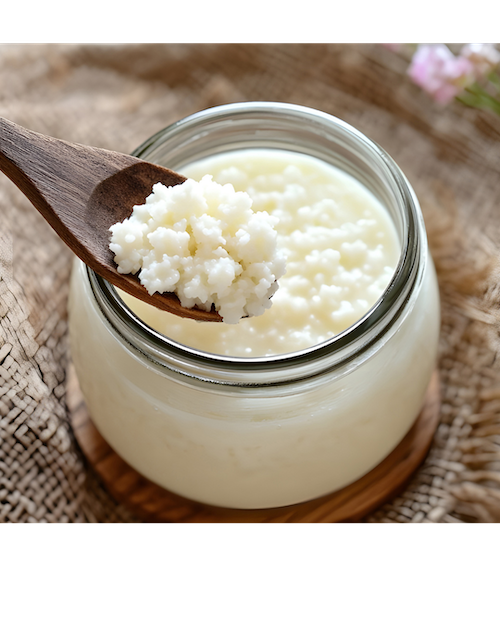 Kefir Grains